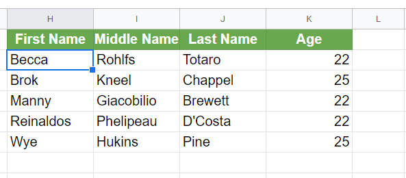 Final Output